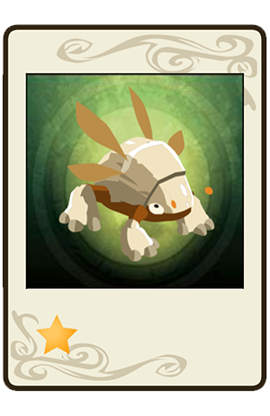 #261 Scarafeuille Blanc