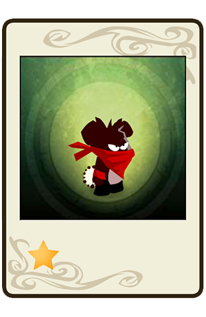 #343 Koalak Farouche