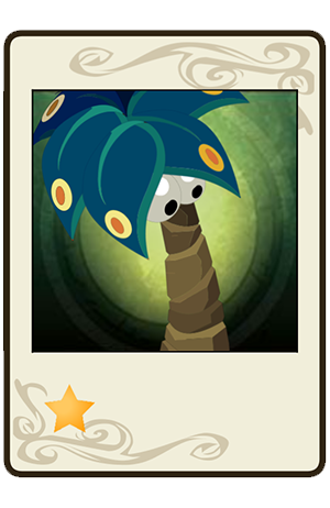 #381 Palmifleur Kouraçao