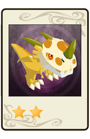 #49 Dragoss Doré Eveillé