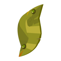 Bouclier trophée du Kimbo