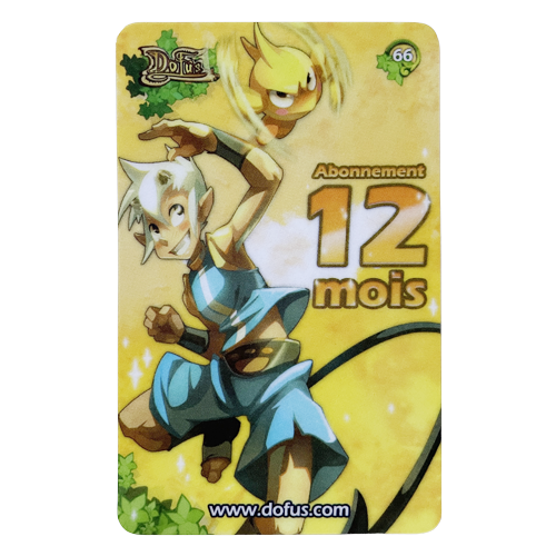 Carte n°66 : Abonnement 12 mois