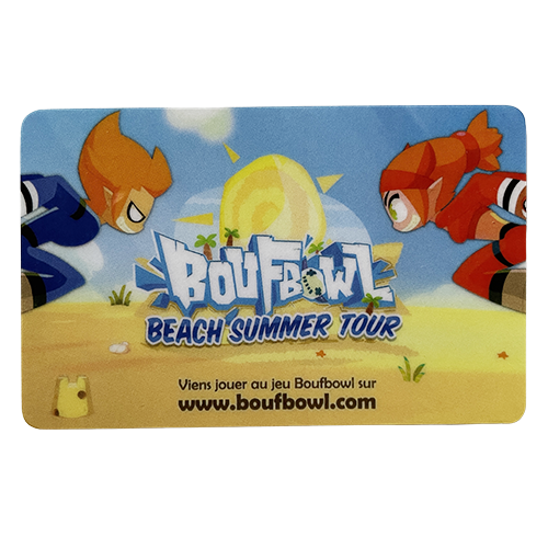 Accès au jeu Boufbowl et 1 panoplie Boufbowl (Dofus)